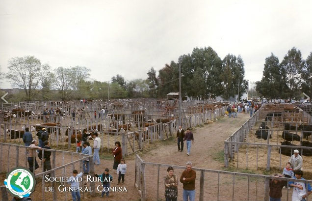 historia_1 historia_1