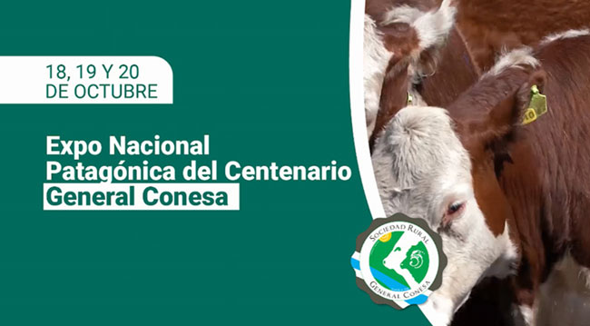 noticias4